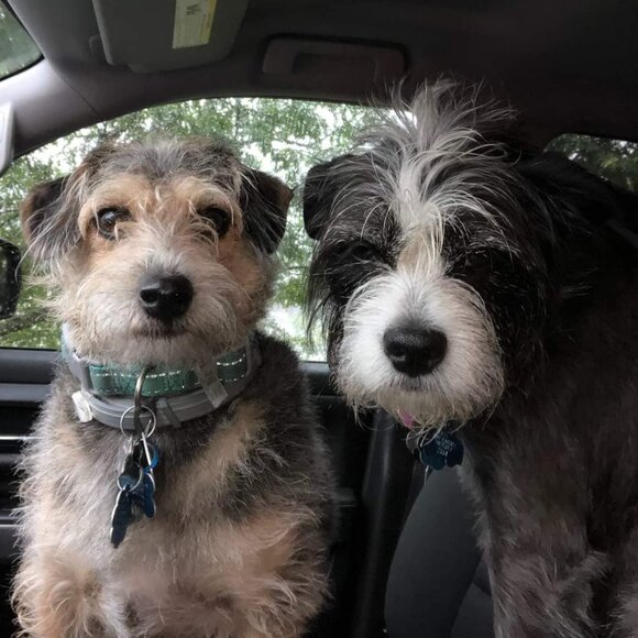 Meet your Posher, Danielle - Picture 1 of 1